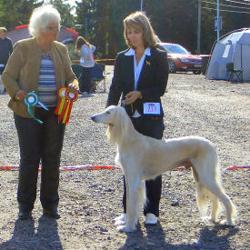 Salomo BOB and BIS-4 vet